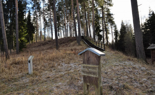 8_Kertuojų piliakalnis.jpg